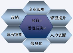 沈陽驕陽企業管理咨詢 專業認證咨詢助力企業卓越發展