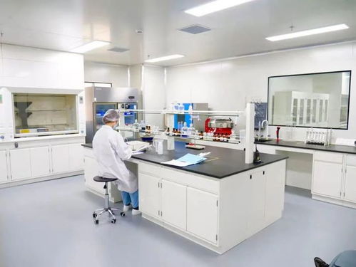 專業(yè)見證 品質(zhì)護(hù)航——走進(jìn)妙可藍(lán)多奶酪工廠，直擊品牌硬實(shí)力